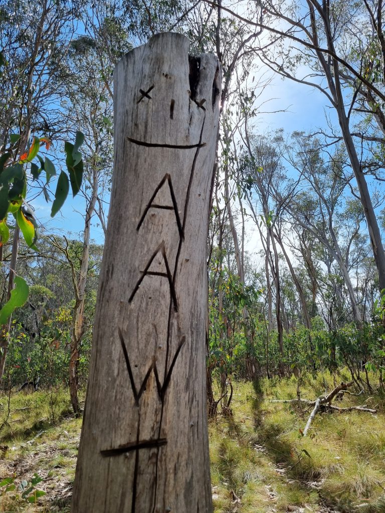 Australian Alps Walking Track (AAWT)