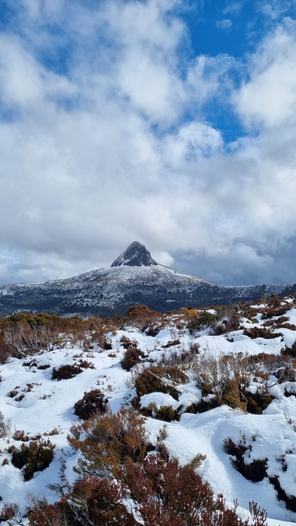 Overland Track Day 1 (Barn Bluff)