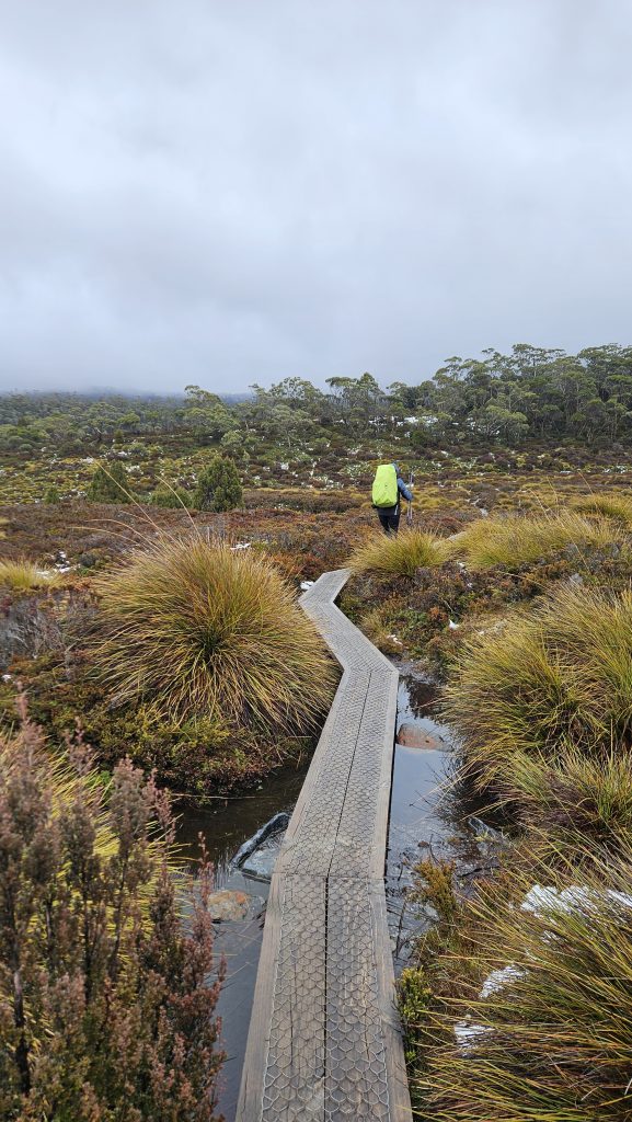 Overland Track Day 2