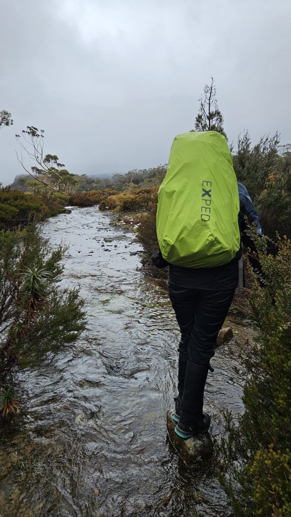 Overland Track Day 2