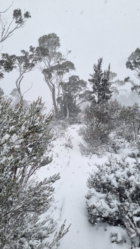 Overland Track Day 3