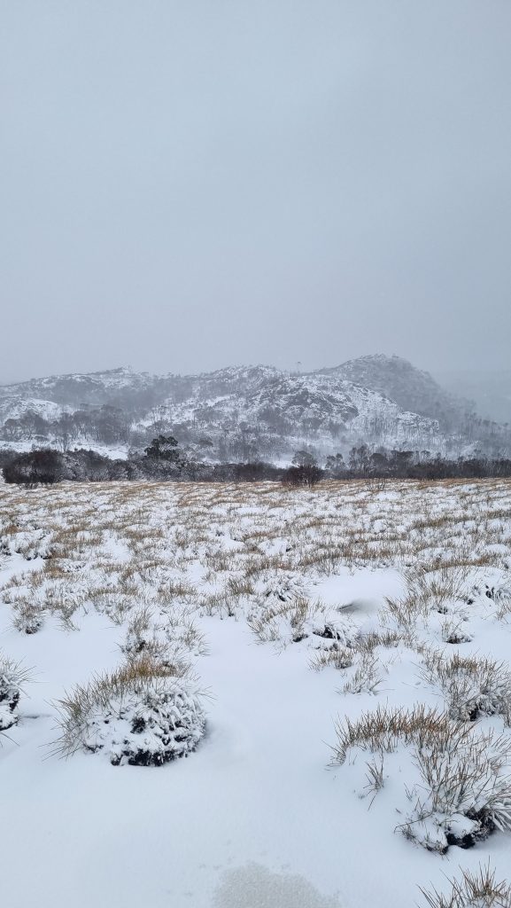 Overland Track Day 3