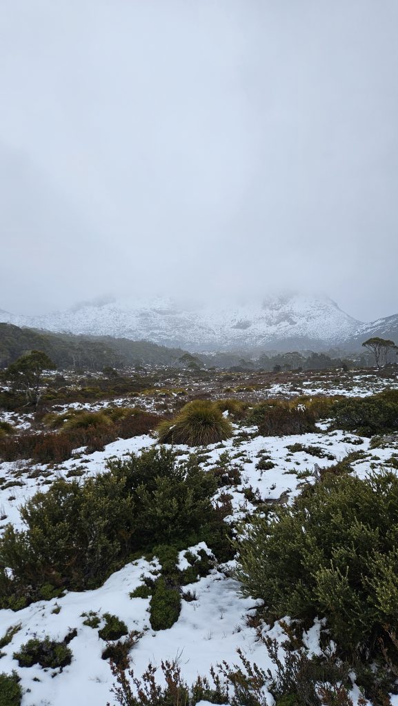 Overland Track Day 4