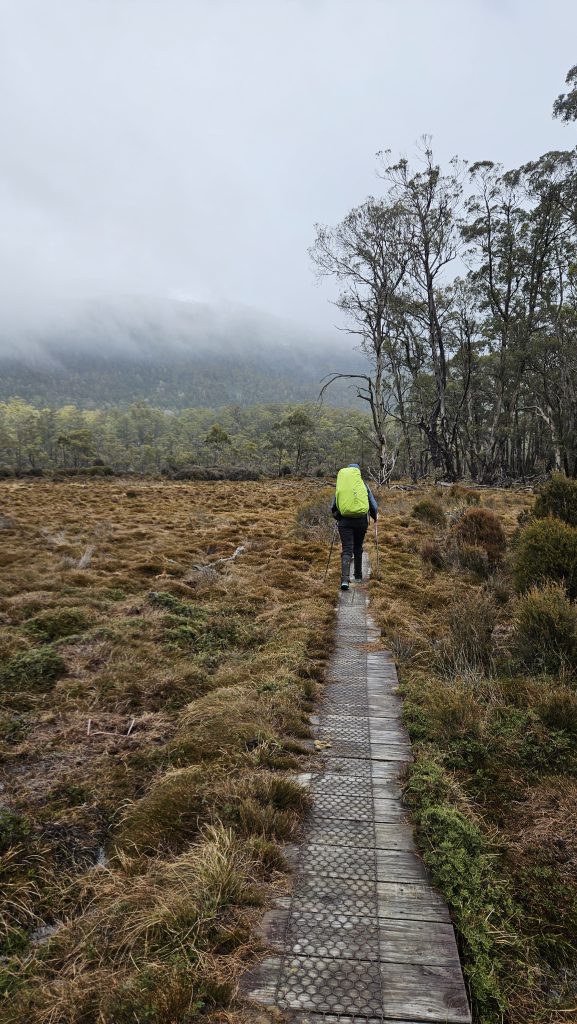 Overland Track Day 6
