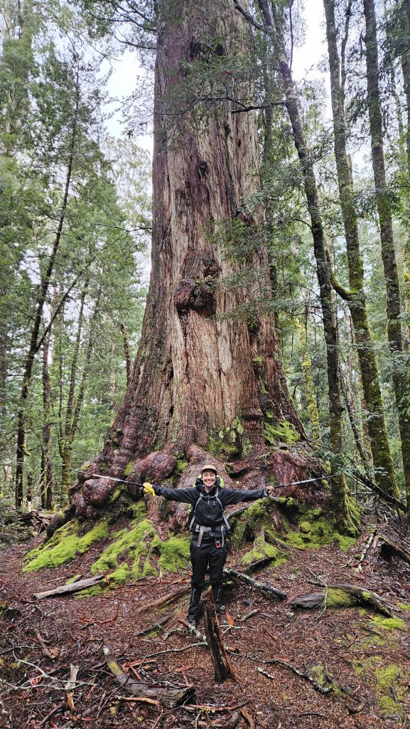 Overland Track Day 6 (Lake Saint Clair)