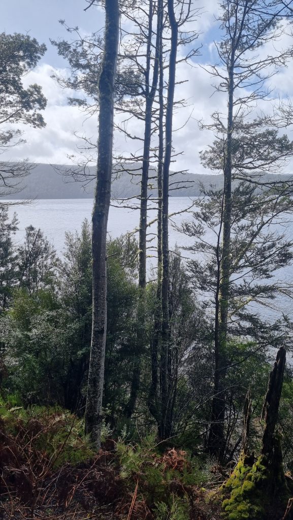 Overland Track Day 7 (Lake St Clair)