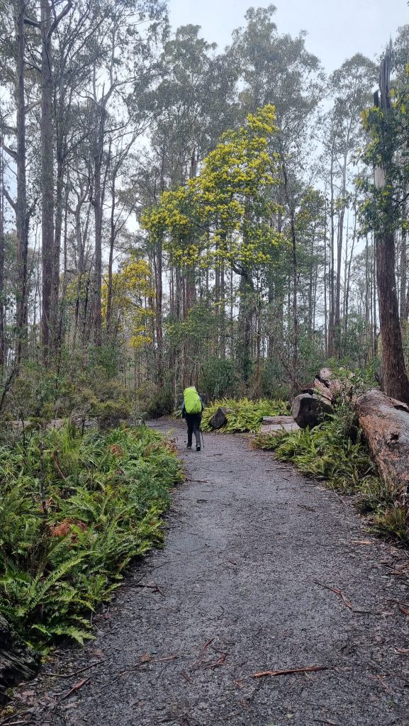 Overland Track Day 7