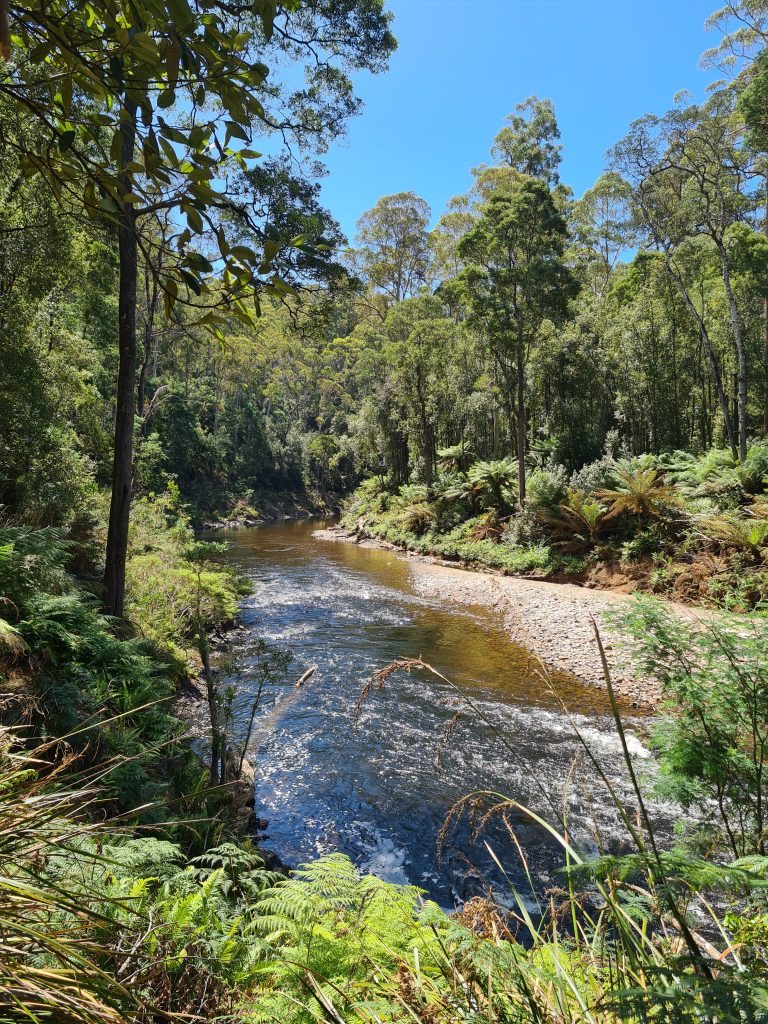 Penguin Cradle Trail, Tasmania