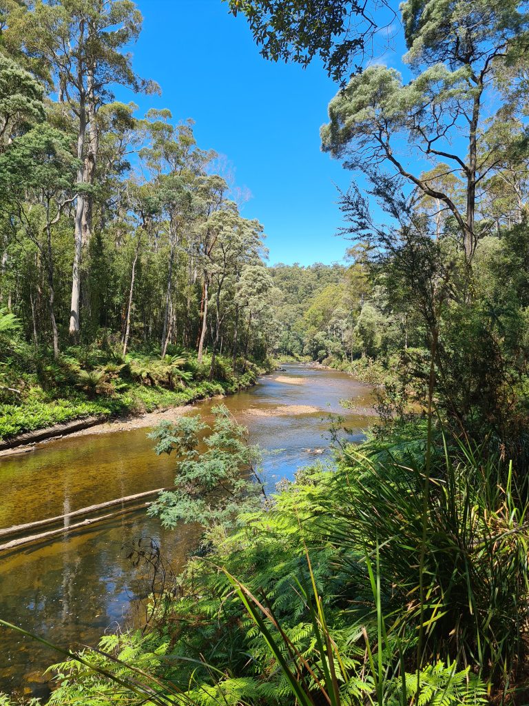 Penguin Cradle Trail, Tasmania