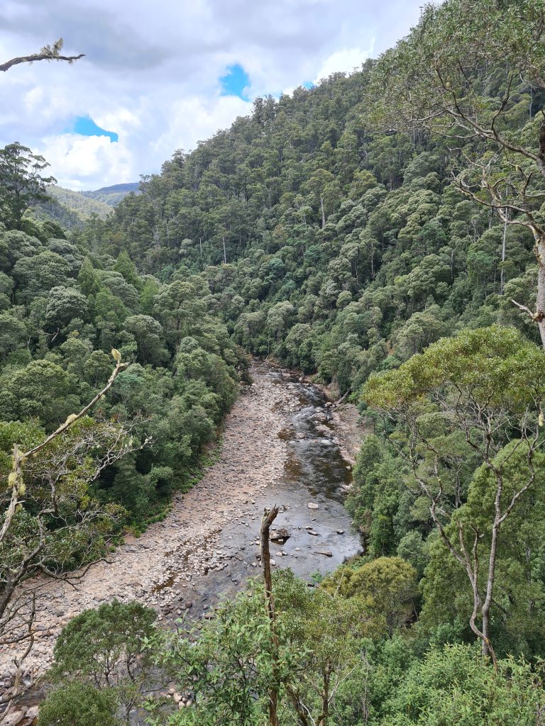 Penguin Cradle Trail, Tasmania