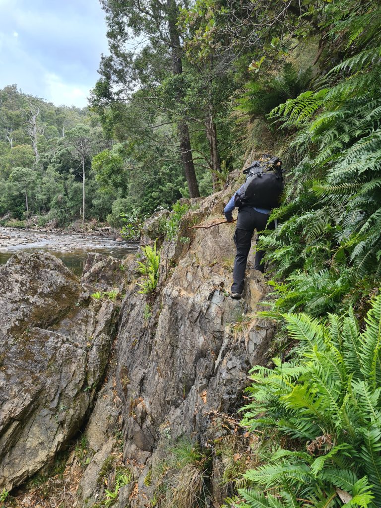 Penguin Cradle Trail, Tasmania