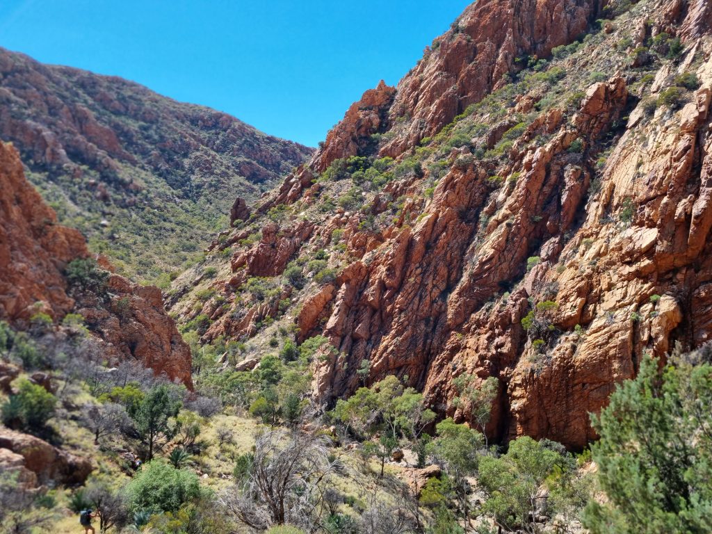 Larapinta Trail