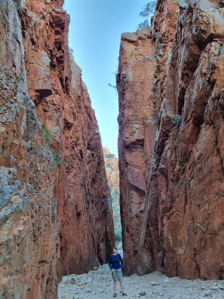 Larapinta Trail (Standley Chasm)