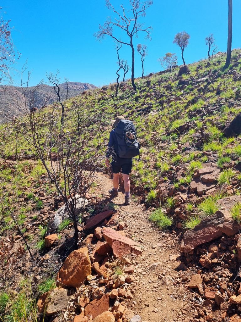 Larapinta Trail