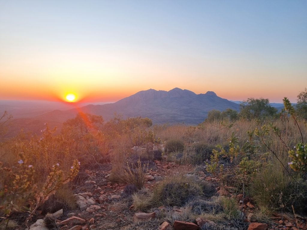 Larapinta Trail (Mount Sonder view)