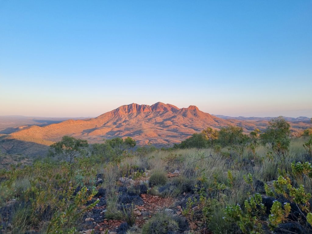 Larapinta Trail (Mount Sonder view)