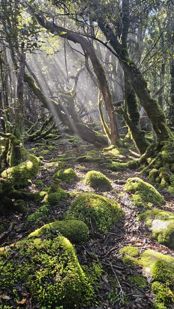 Three Capes (Mount Fortescue climb)