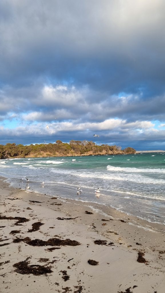 Freycinet Peninsula Circuit (Cooks Beach)
