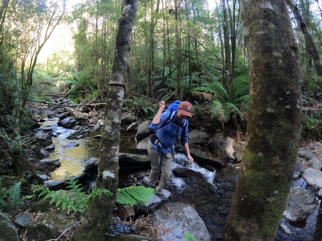 Penguin Cradle Trail, Tasmania