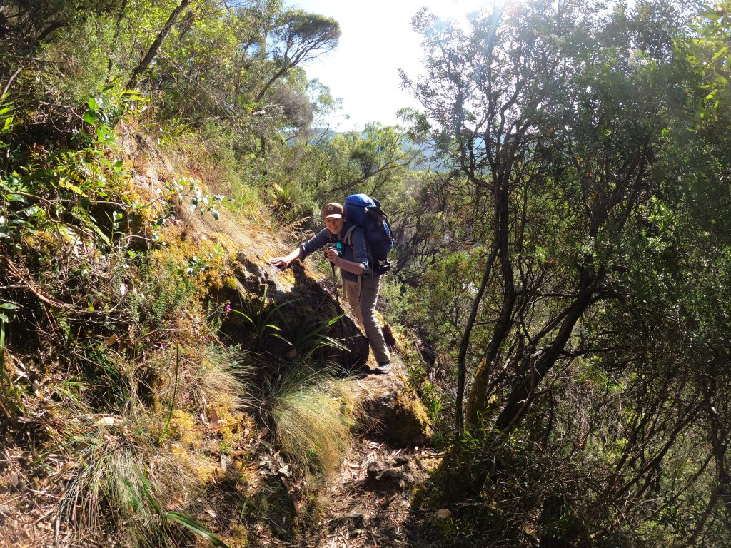 Penguin Cradle Trail, Tasmania