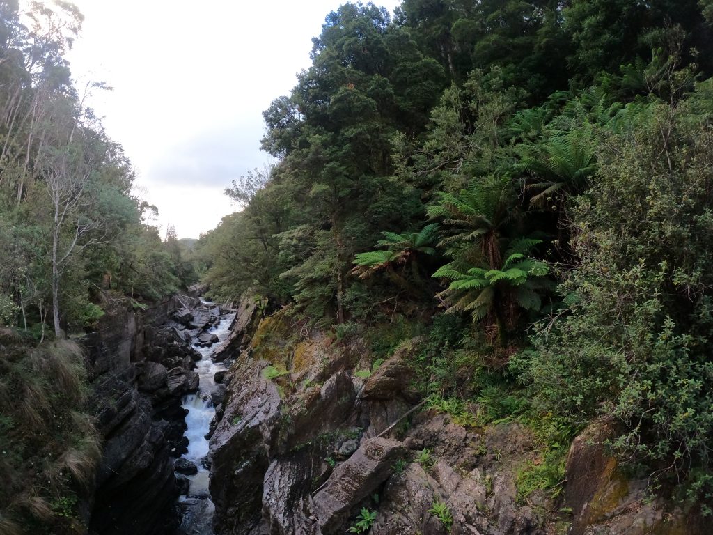 Penguin Cradle Trail, Tasmania